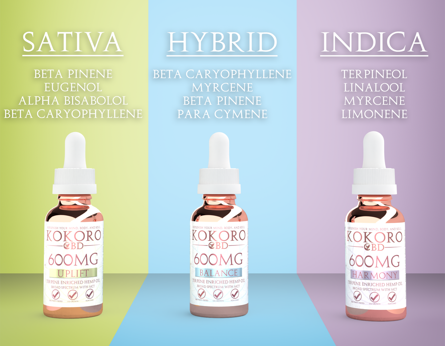 Kokoro CBD Tincture